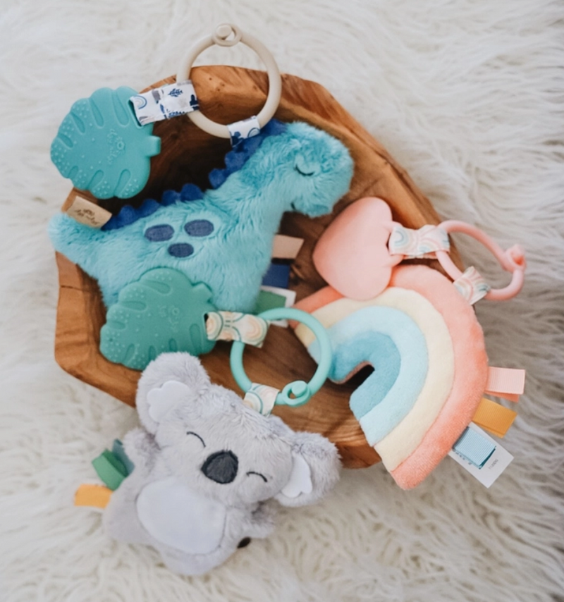 NEW Dino Itzy Pal and Teether