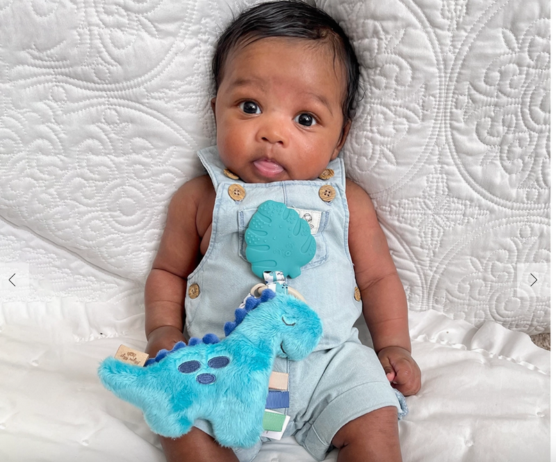 NEW Dino Itzy Pal and Teether